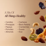 Rostaa Gourmet Trail Mix