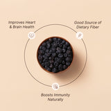 Rostaa Gourmet Dried Blueberries